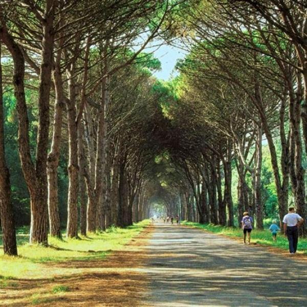 Casa Indipendente Pisa Villa Bagian luar foto